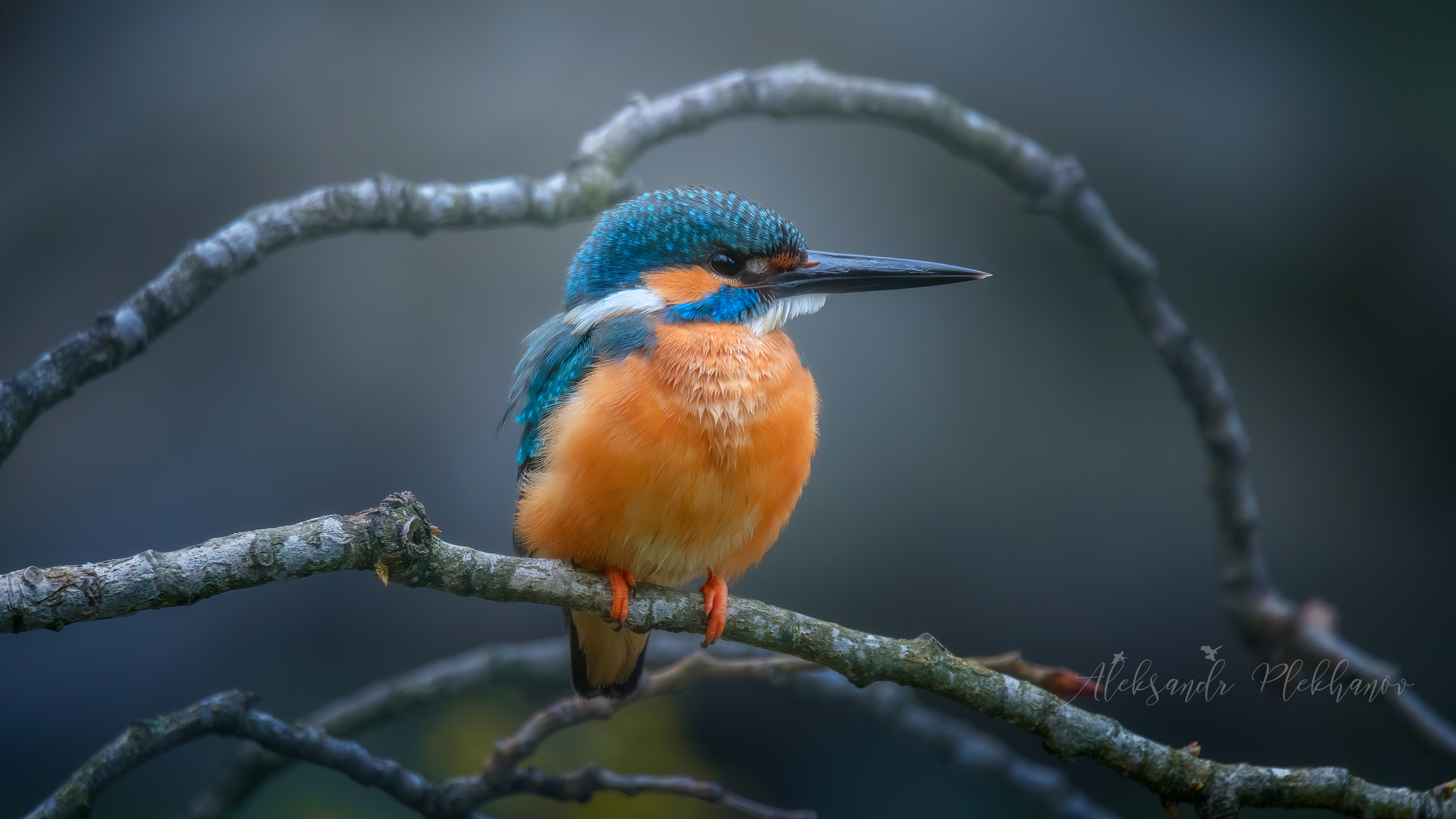Пасхальное яичко