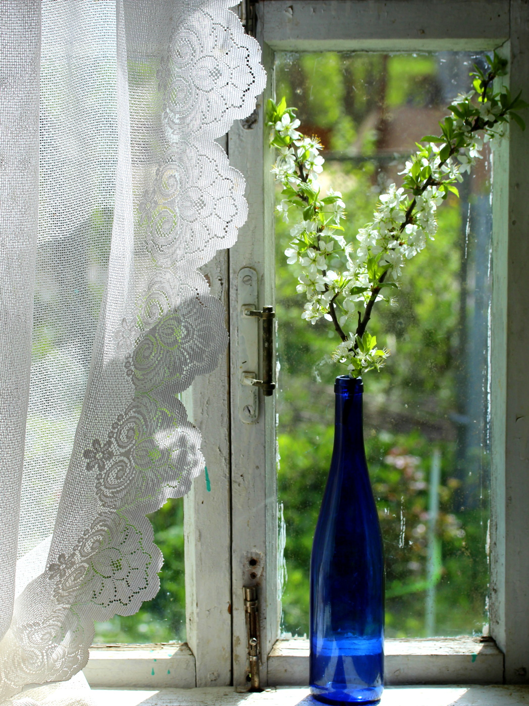 Цветущая ветка.