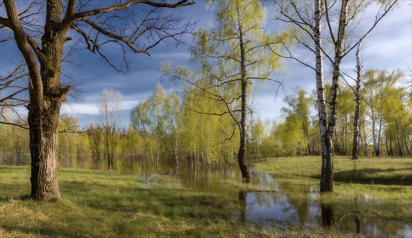 Половодье- причуда весенняя...
