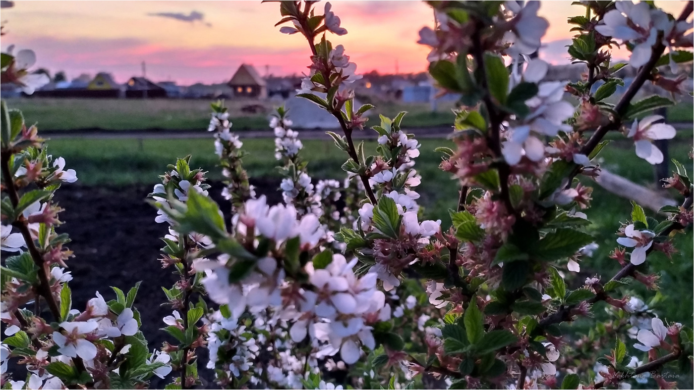 Весна деревенская