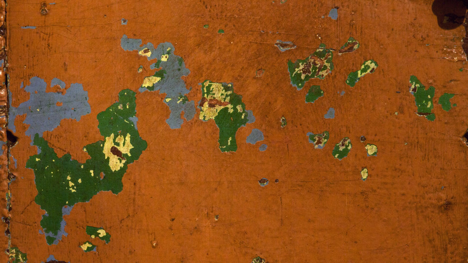 Жизнь вокруг