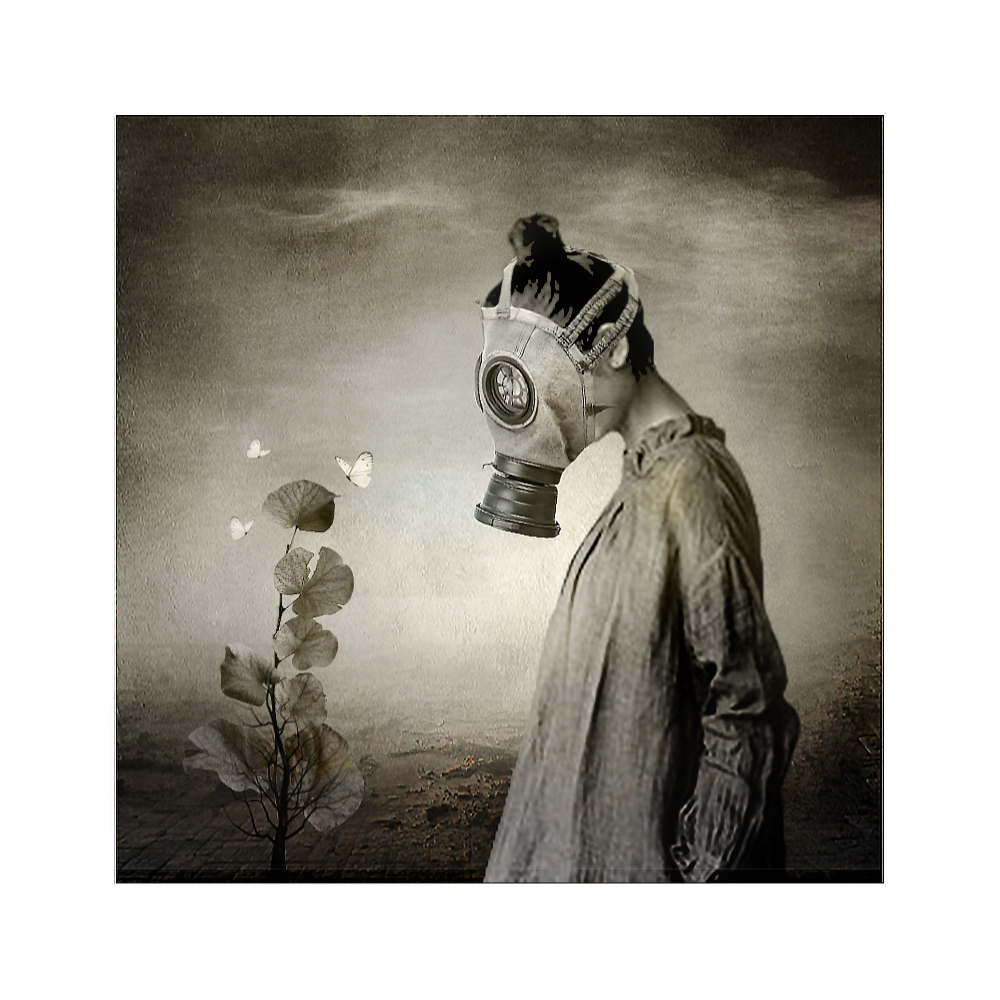 как прекрасен этот мир