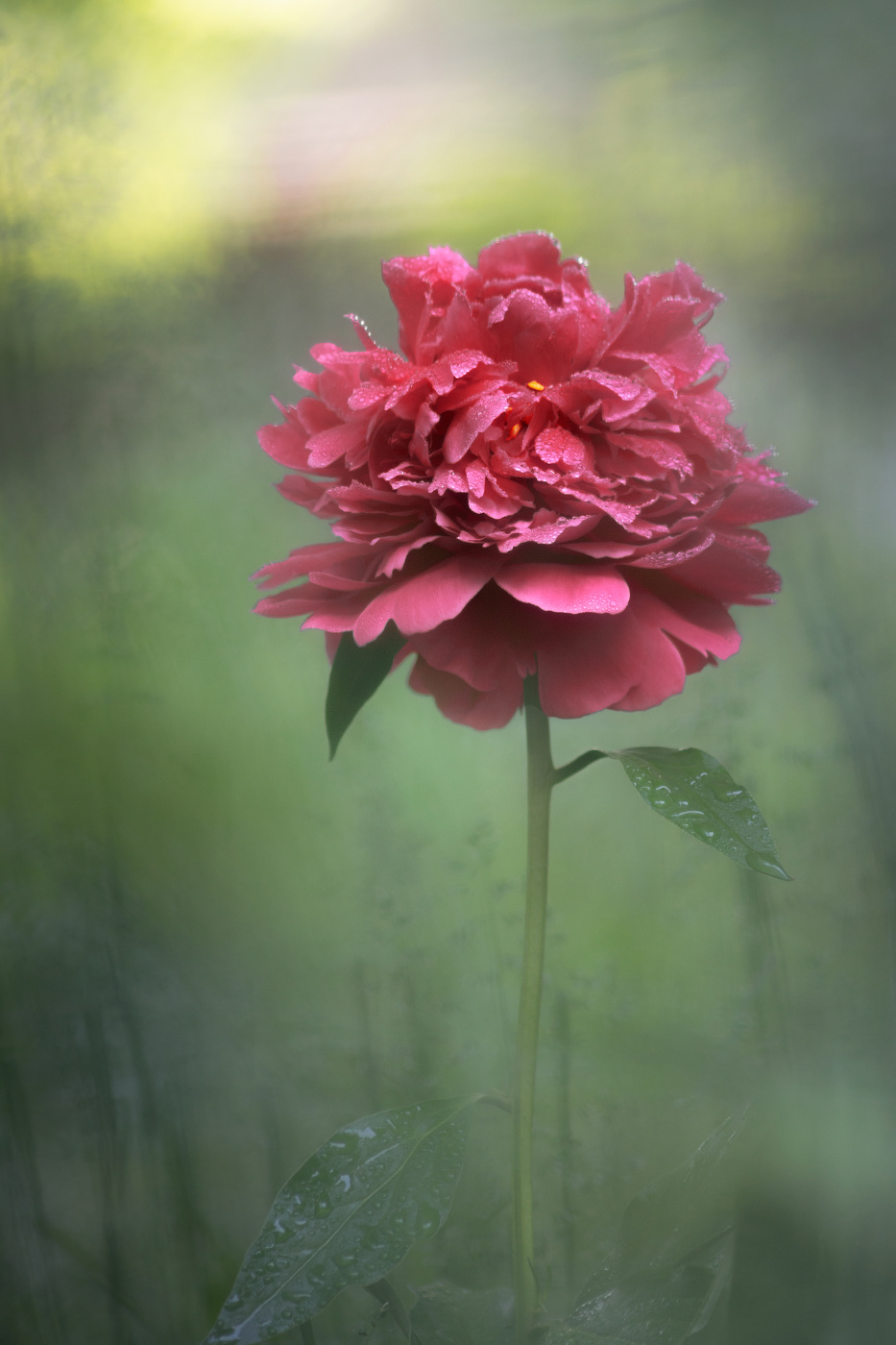 Майские зарисовки.