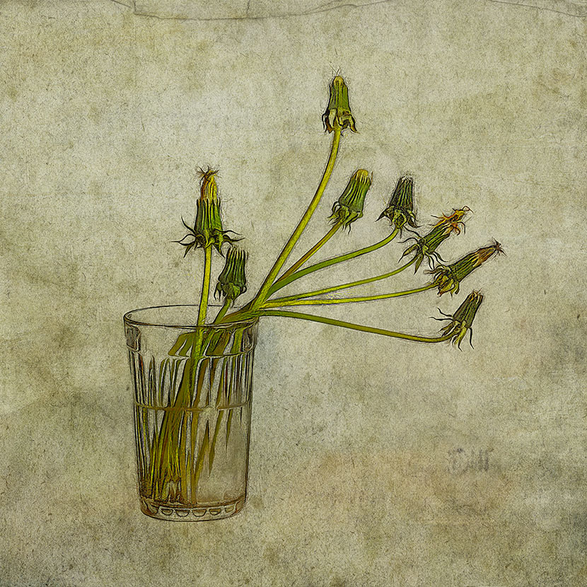 в последнем порыве