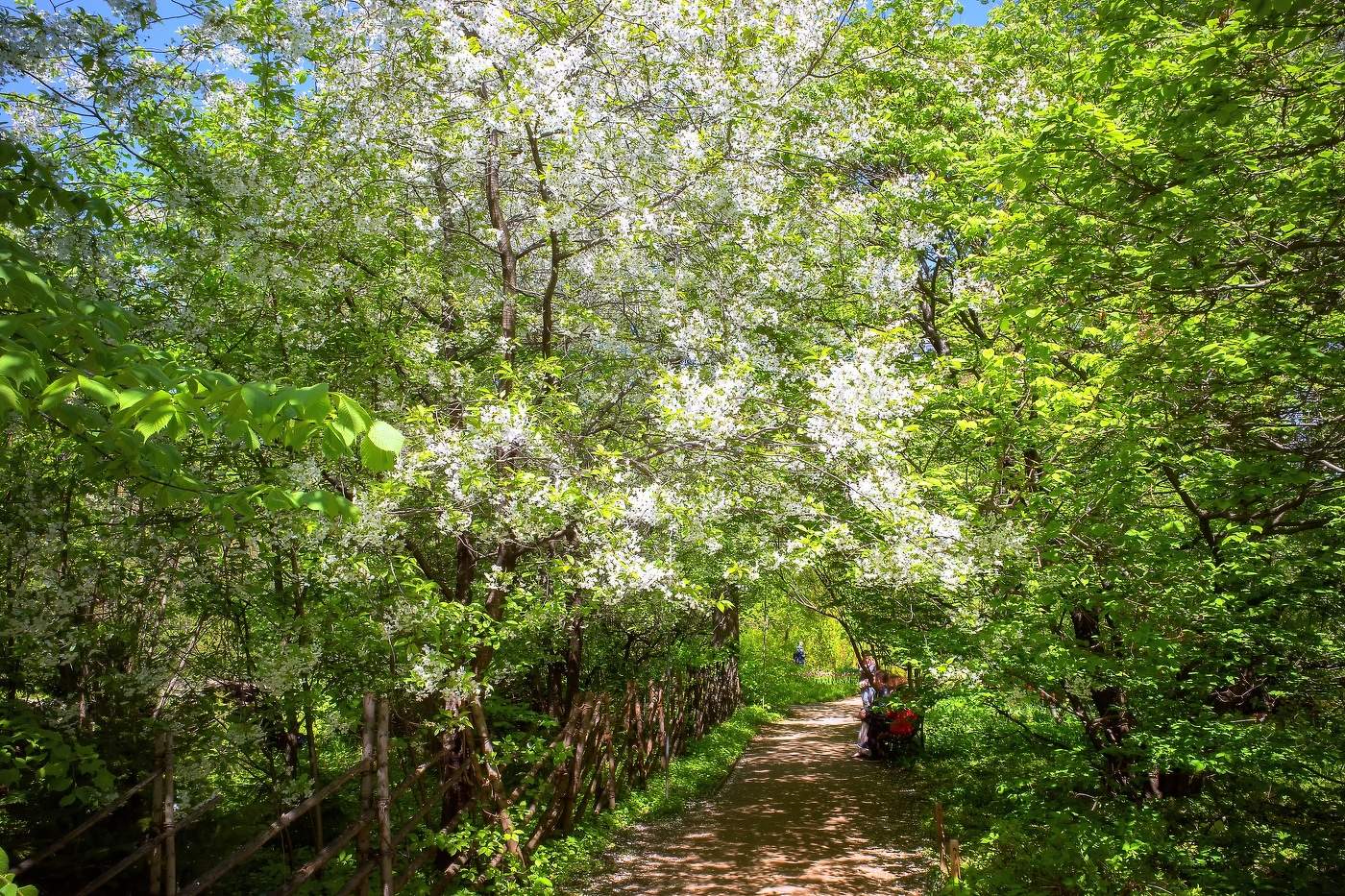 Майский день