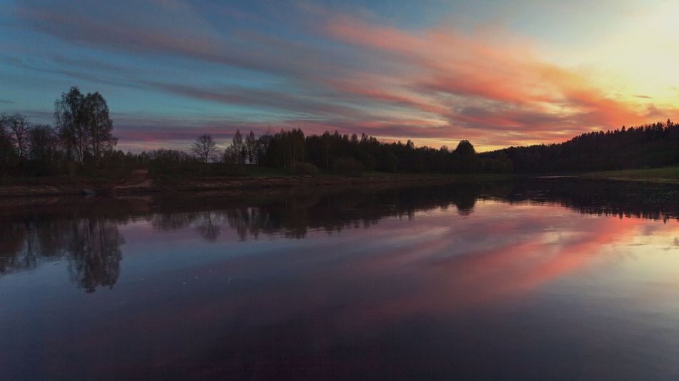 Жизнь вокруг