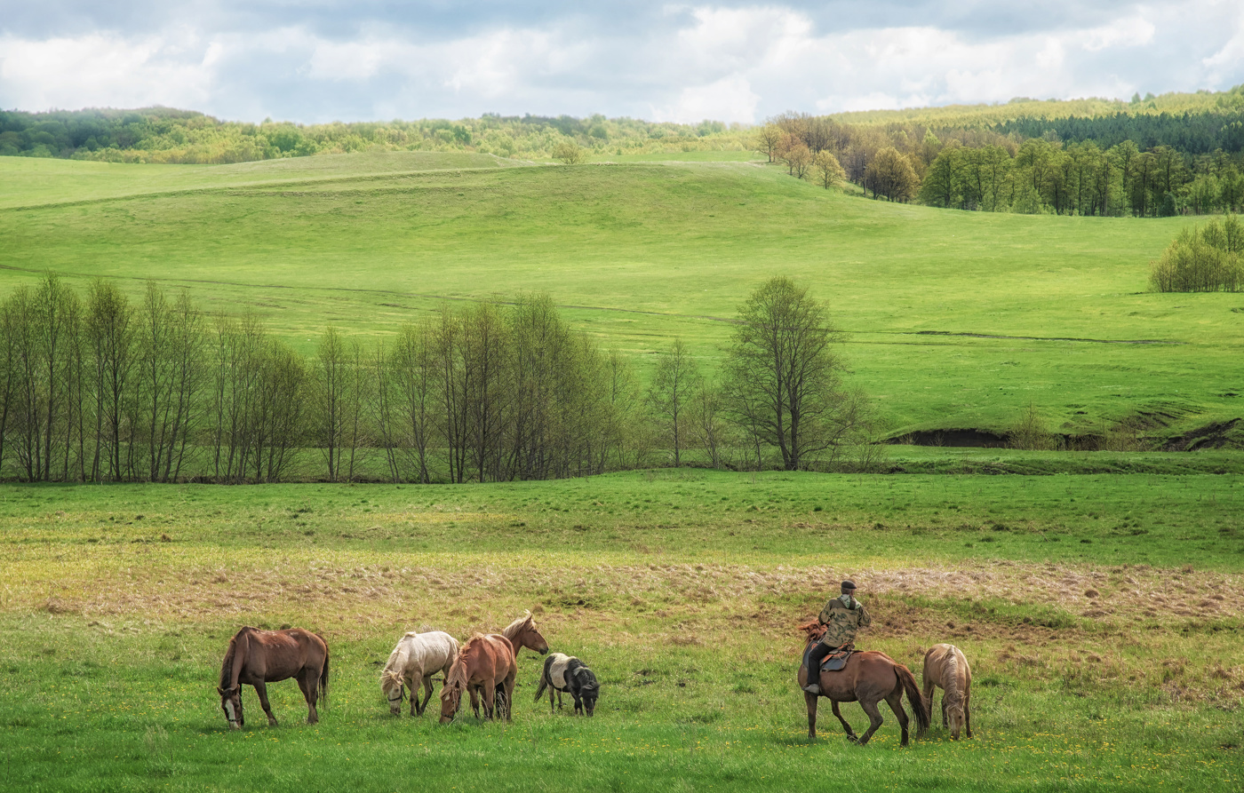 Май на сабантуйской поляне