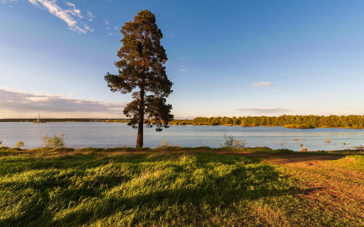 вечерние зарисовки....