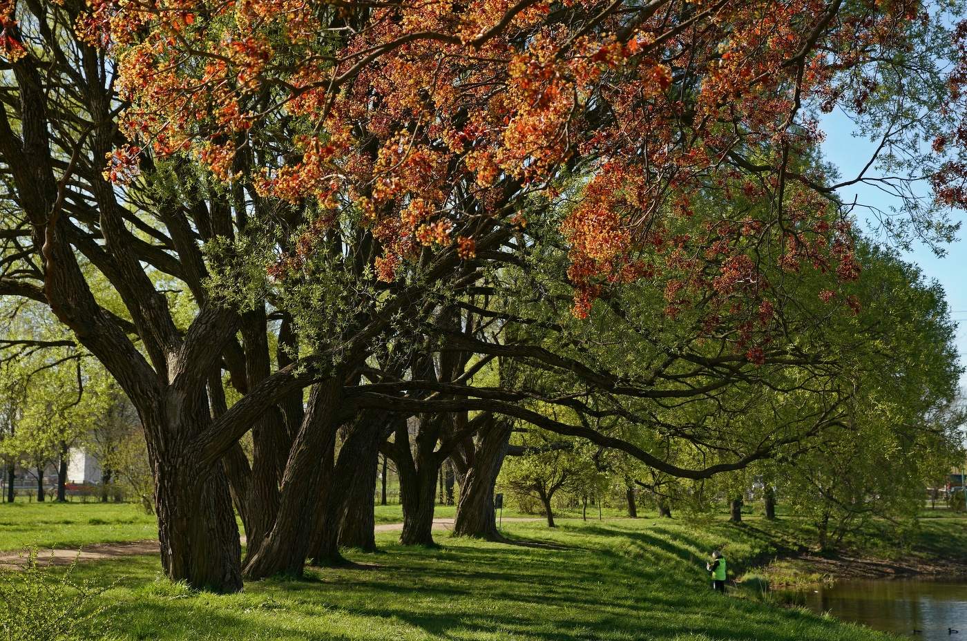 Майский день