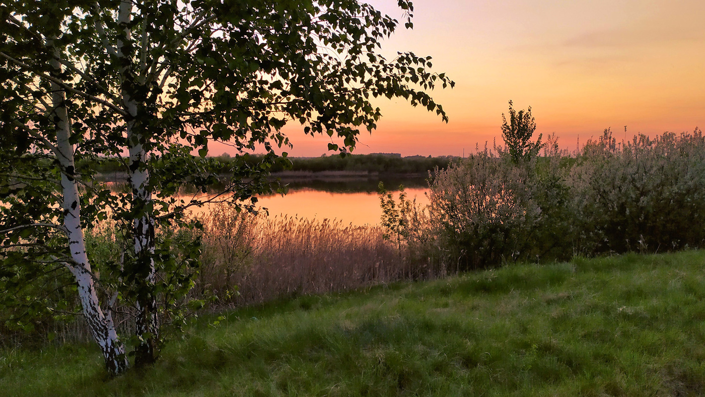 Тихий вечер