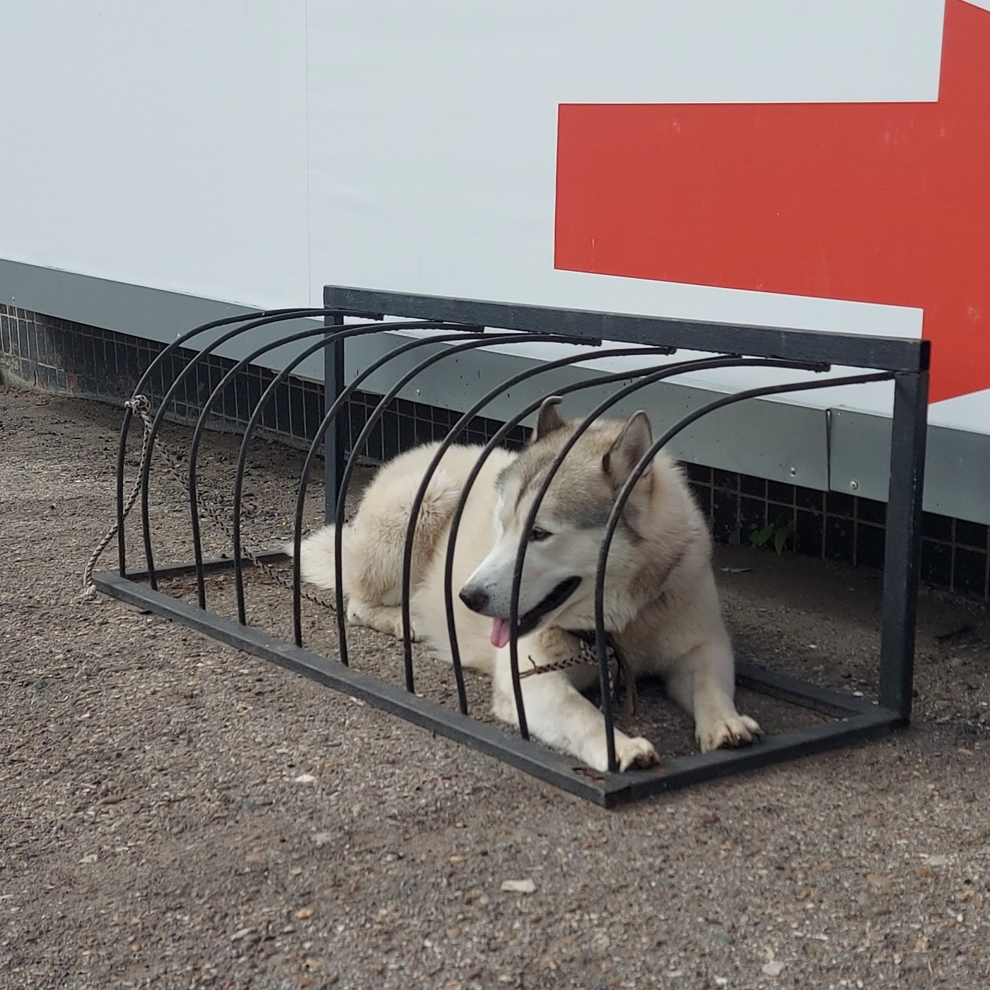 Парковка занята!