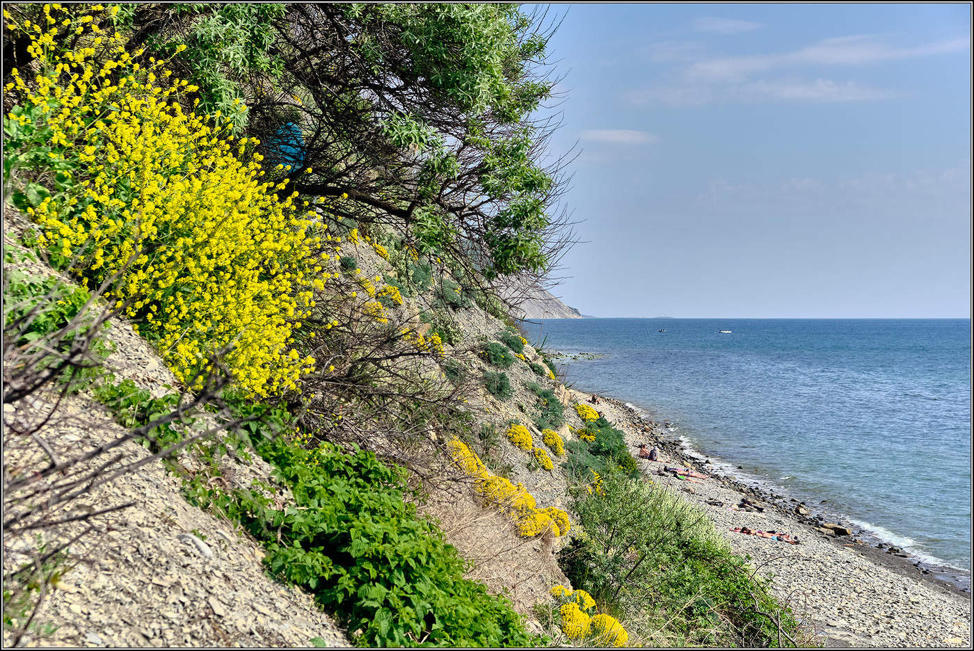 На черноморских берегах.