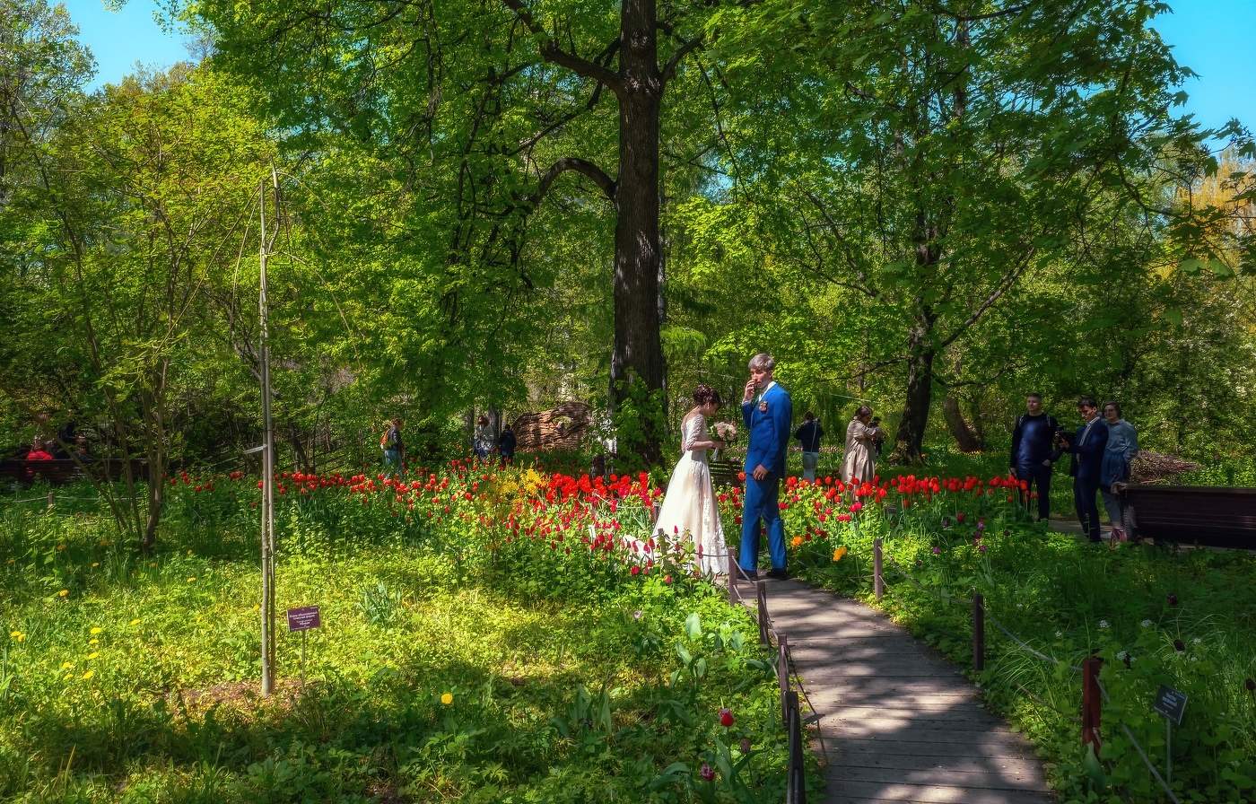 Весенняя свадьба