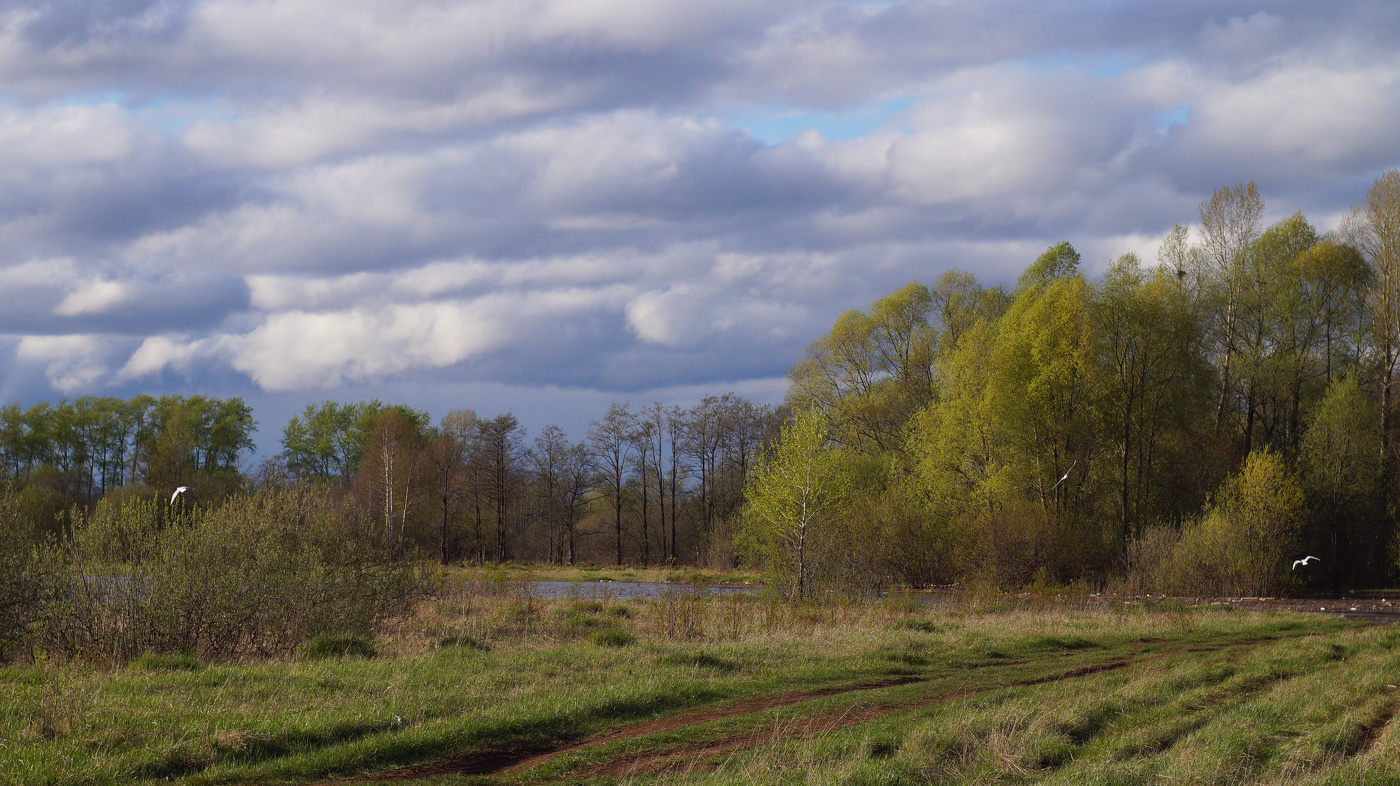 Просто весна.