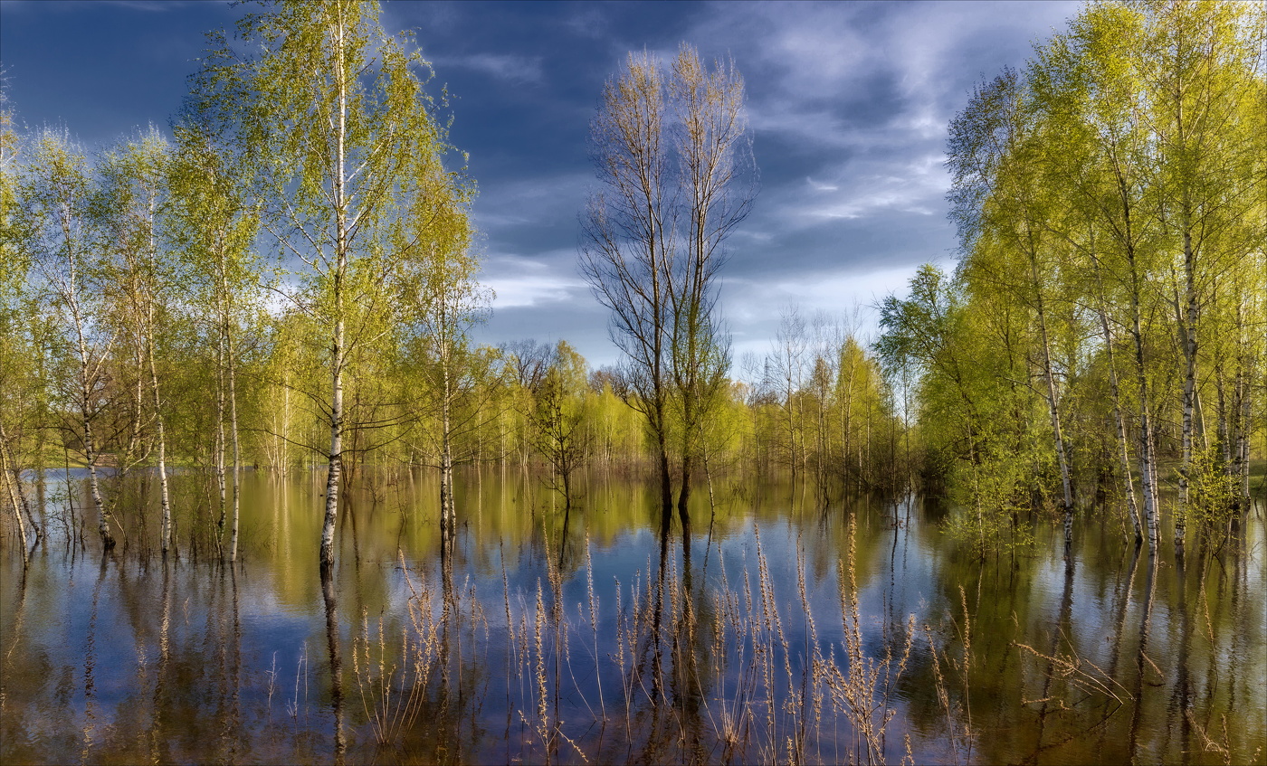 Воды талые с привкусом свежести...
