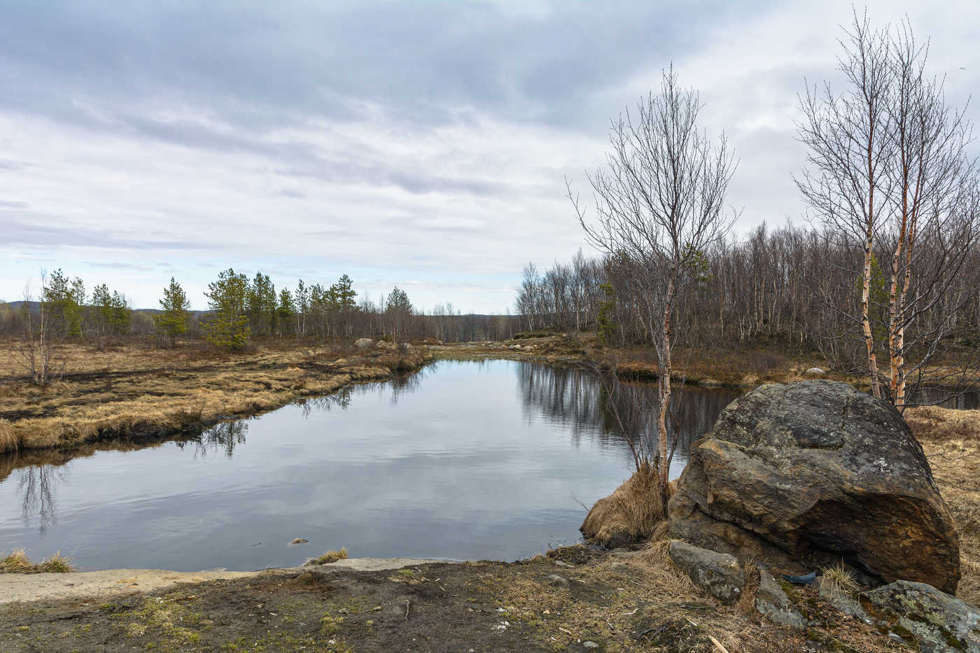 весна к нам опаздывает