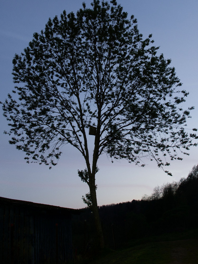 Жизнь вокруг