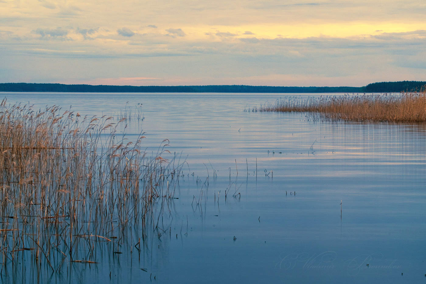 Майский рассвет на озере