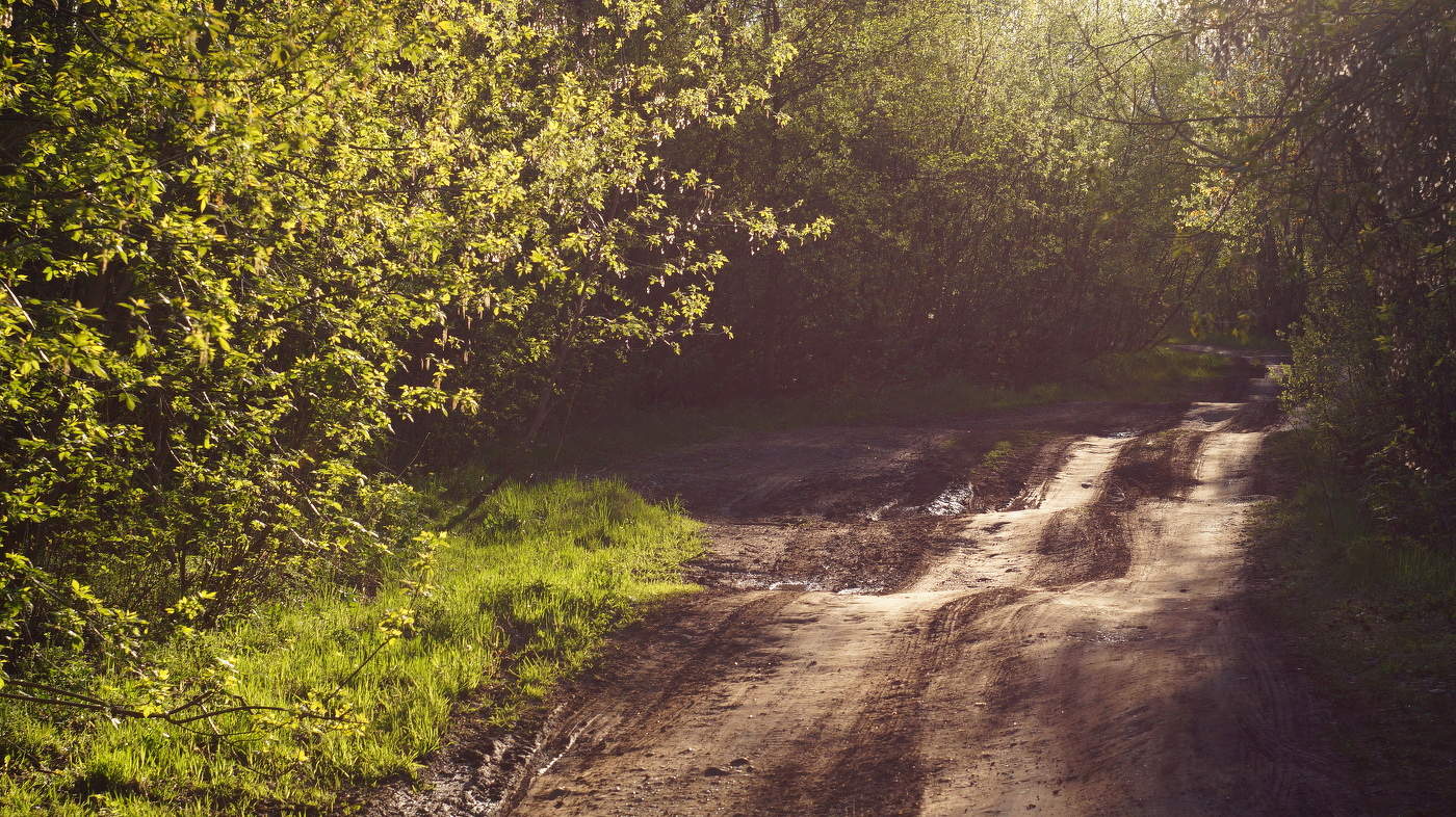 Дороги которые я выбираю.