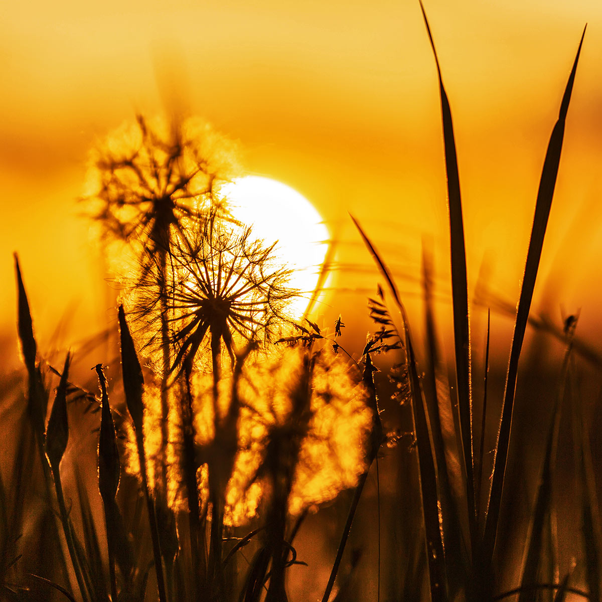 Картинки мая