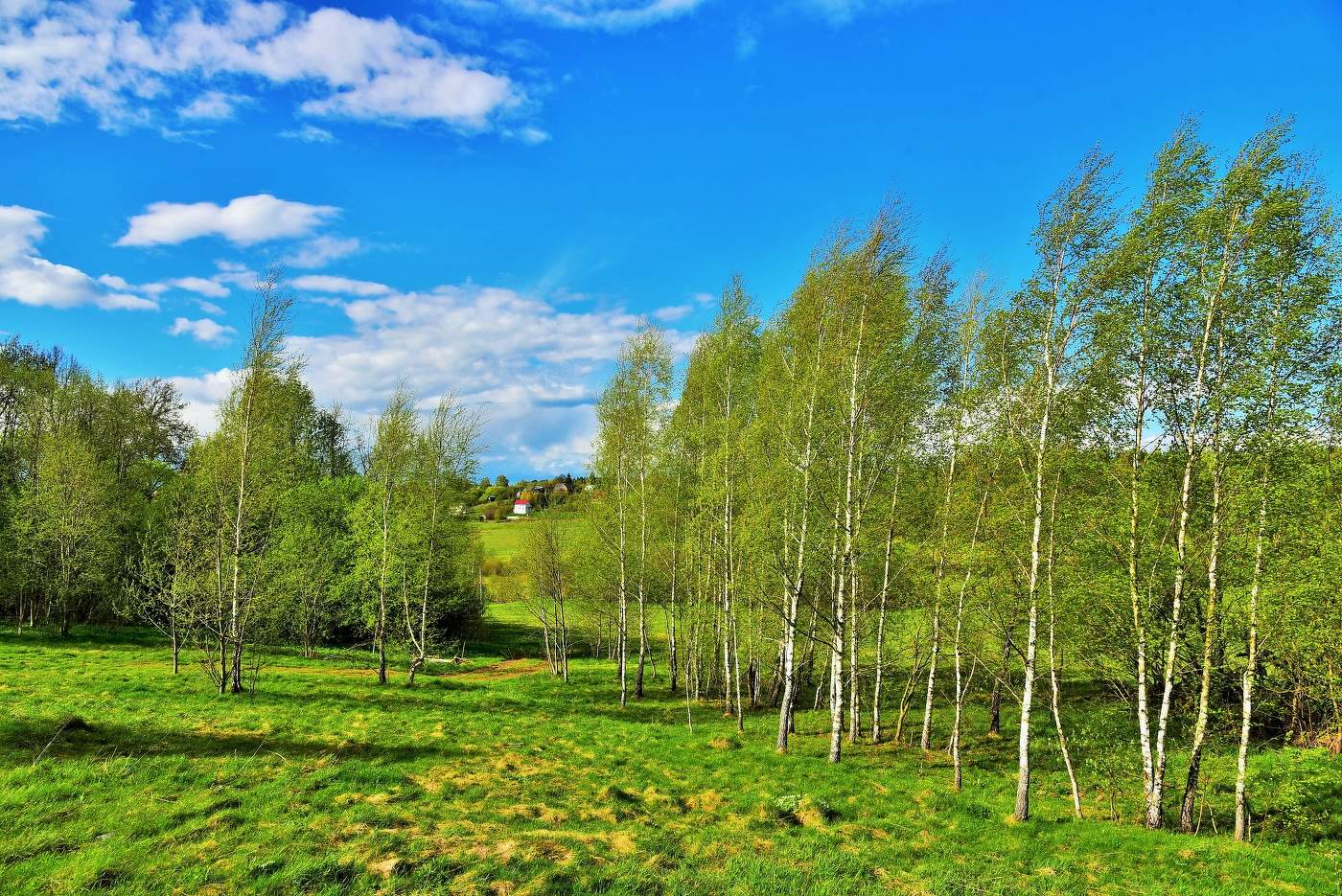 По дороге на дачу ...