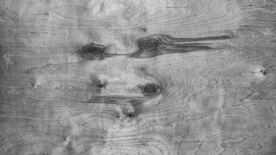 Жизнь вокруг