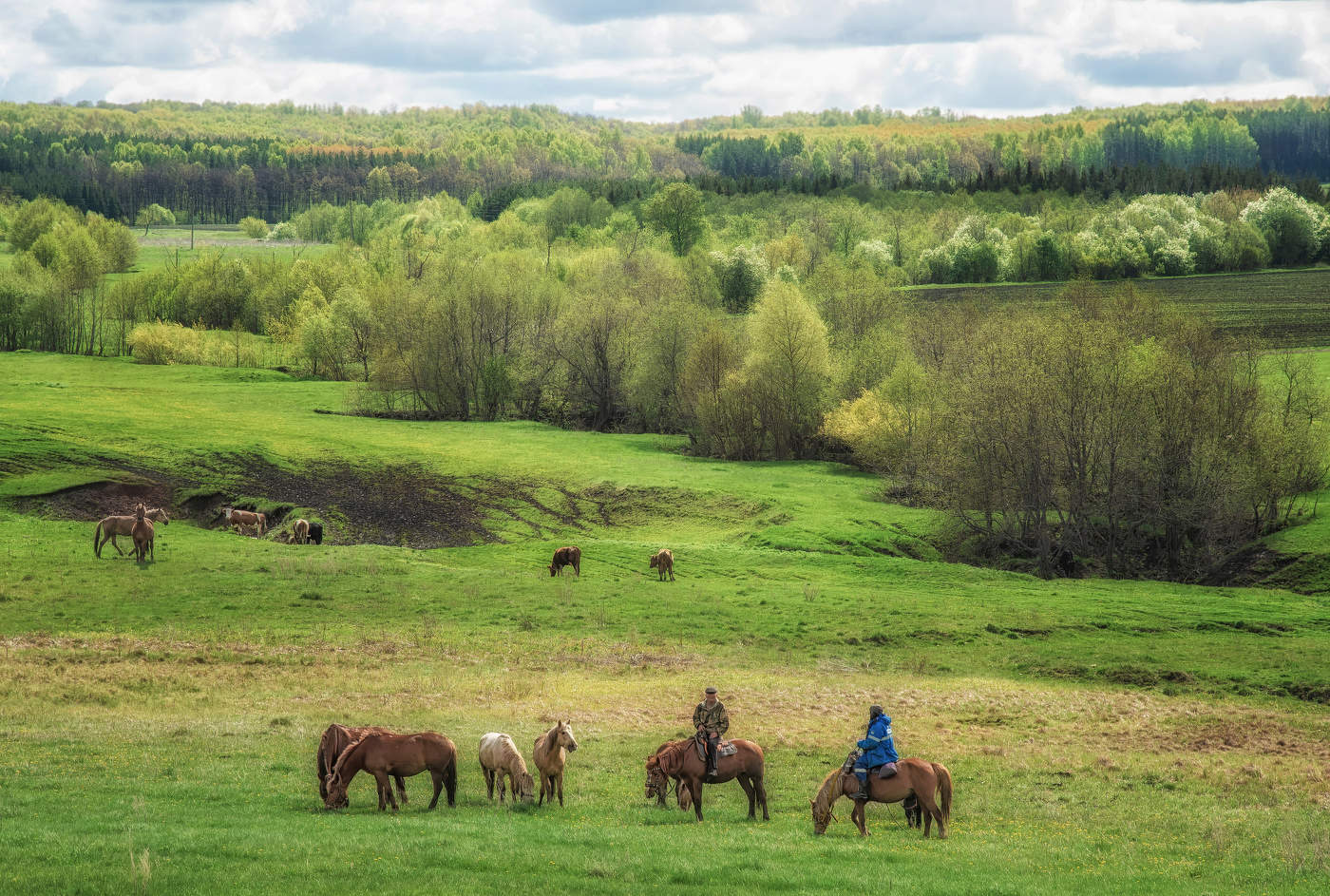 Тюменякская сабантуйская поляна