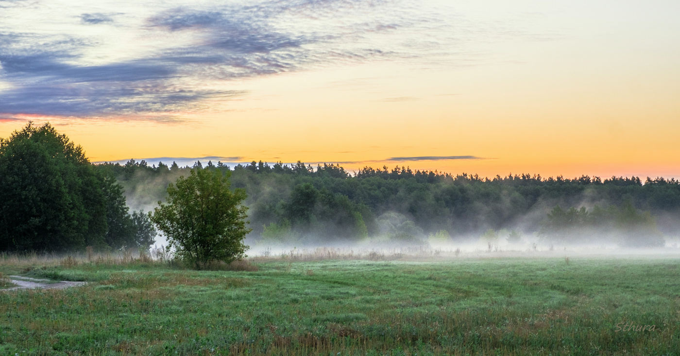 Туман в поле.