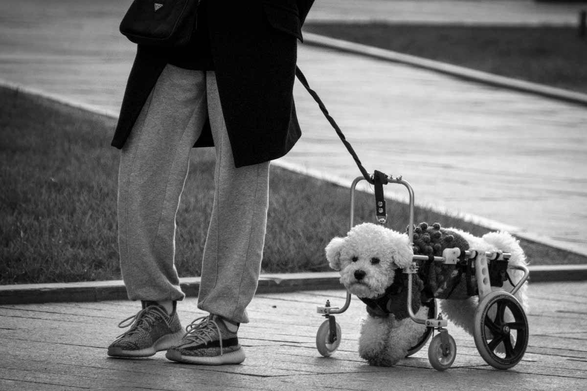 Про Человека