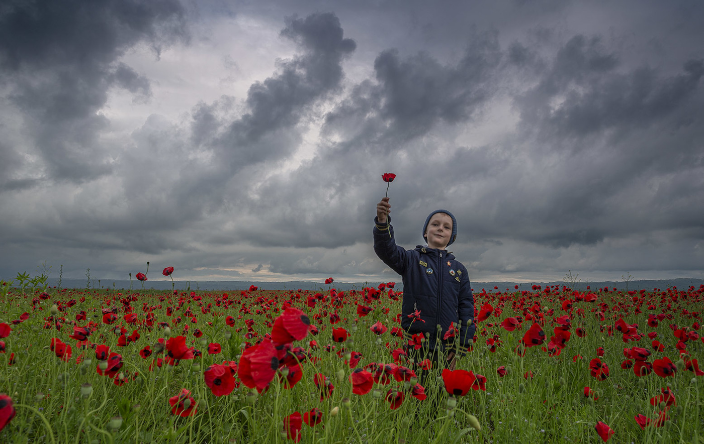 Между дождями