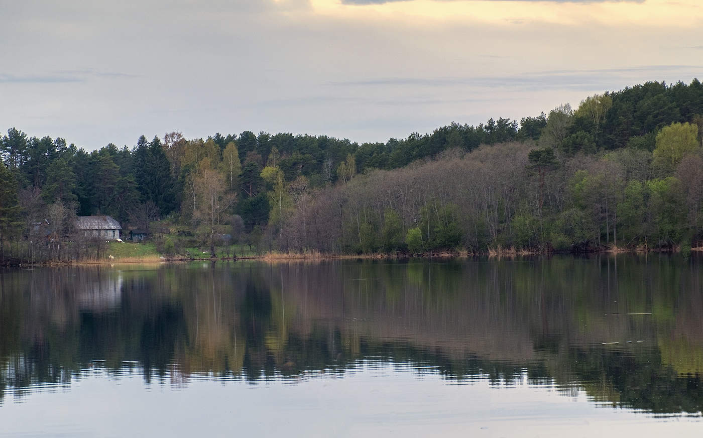 Раннее утро на озере