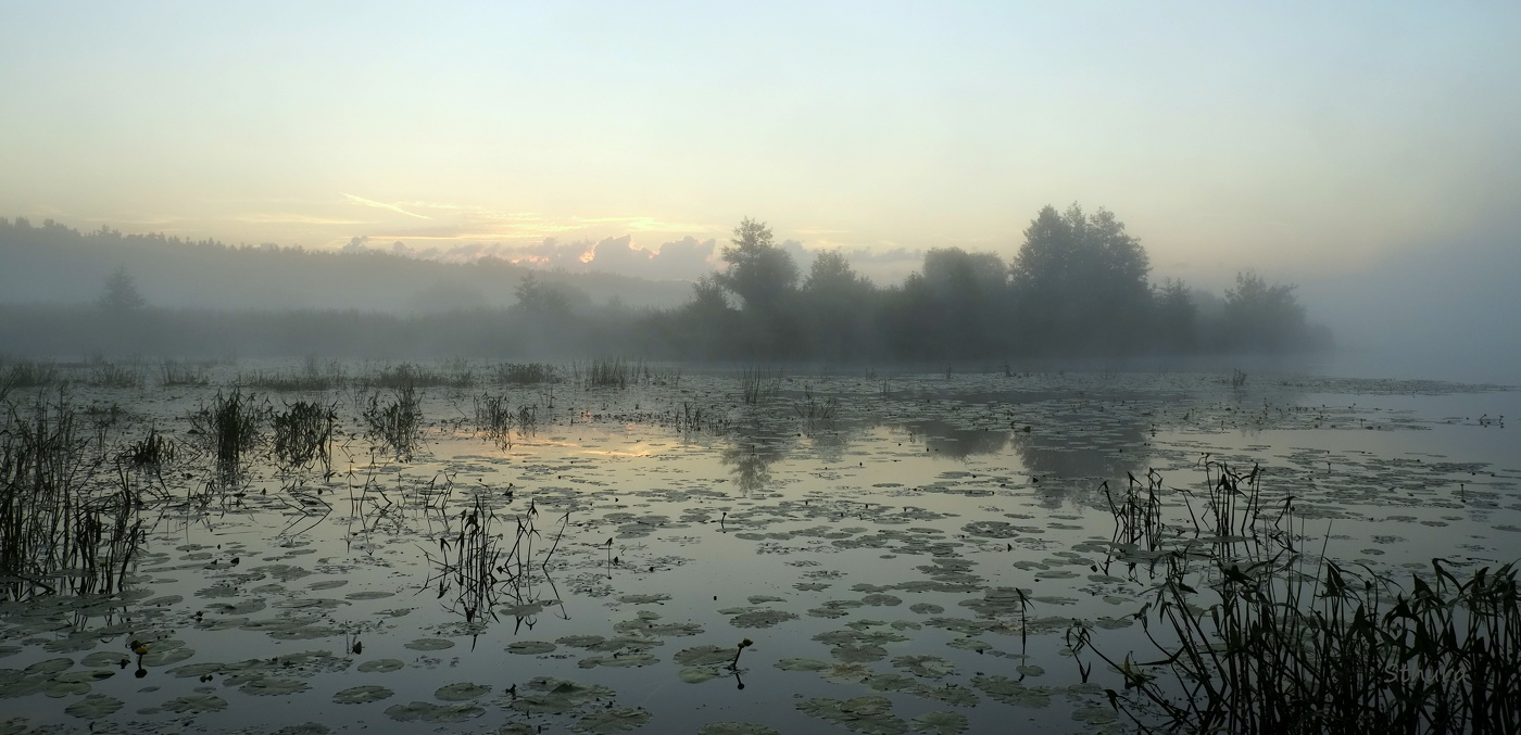 Рано утром.