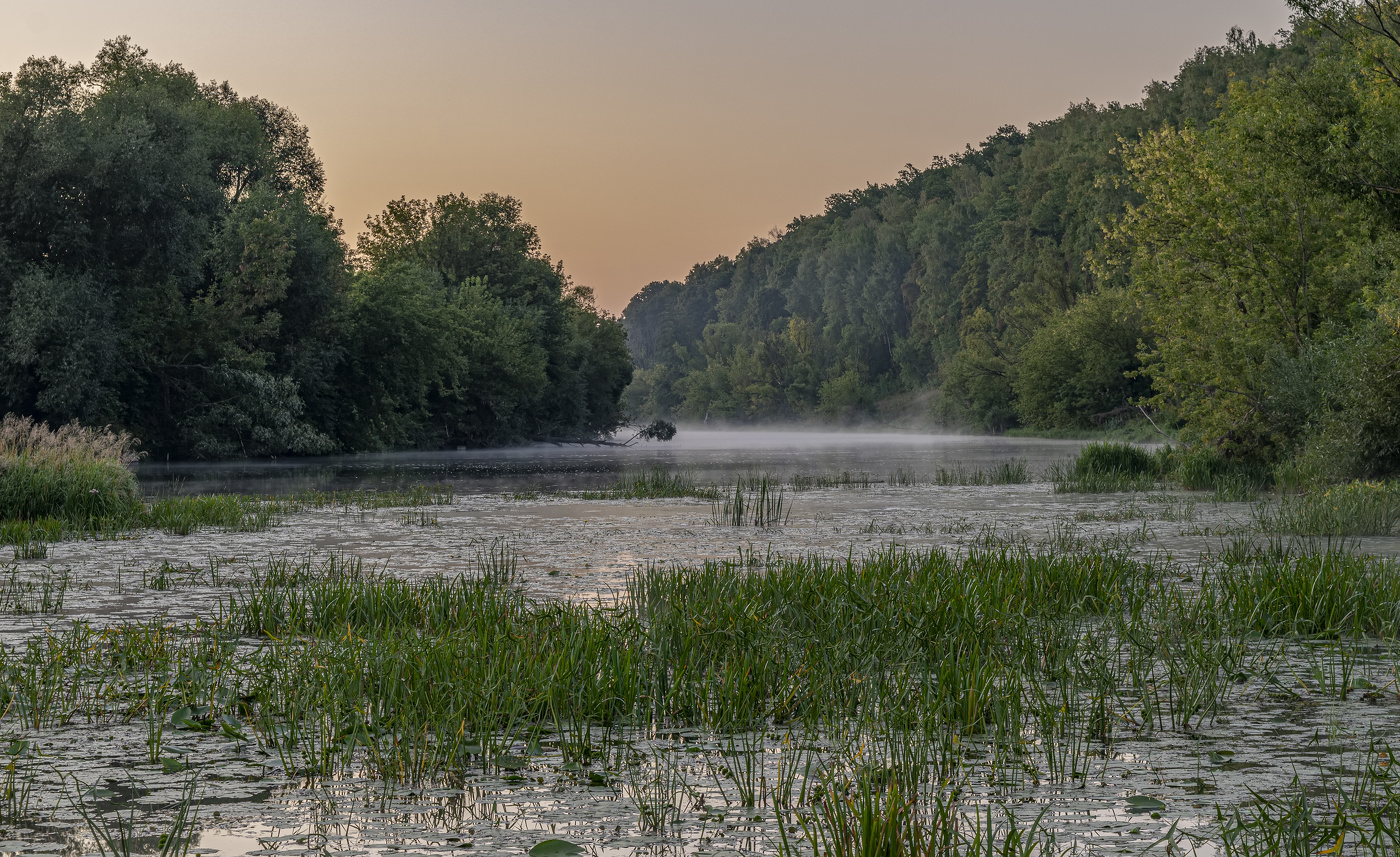 тихая заводь
