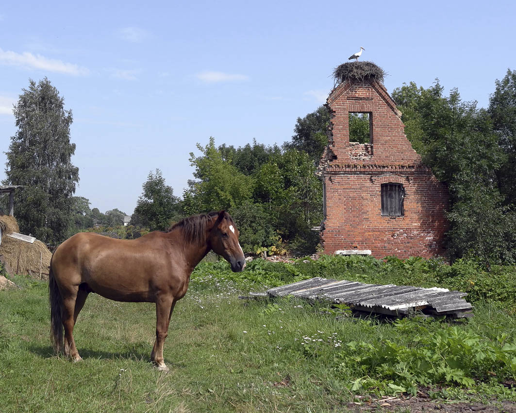 Теплый день в Друе