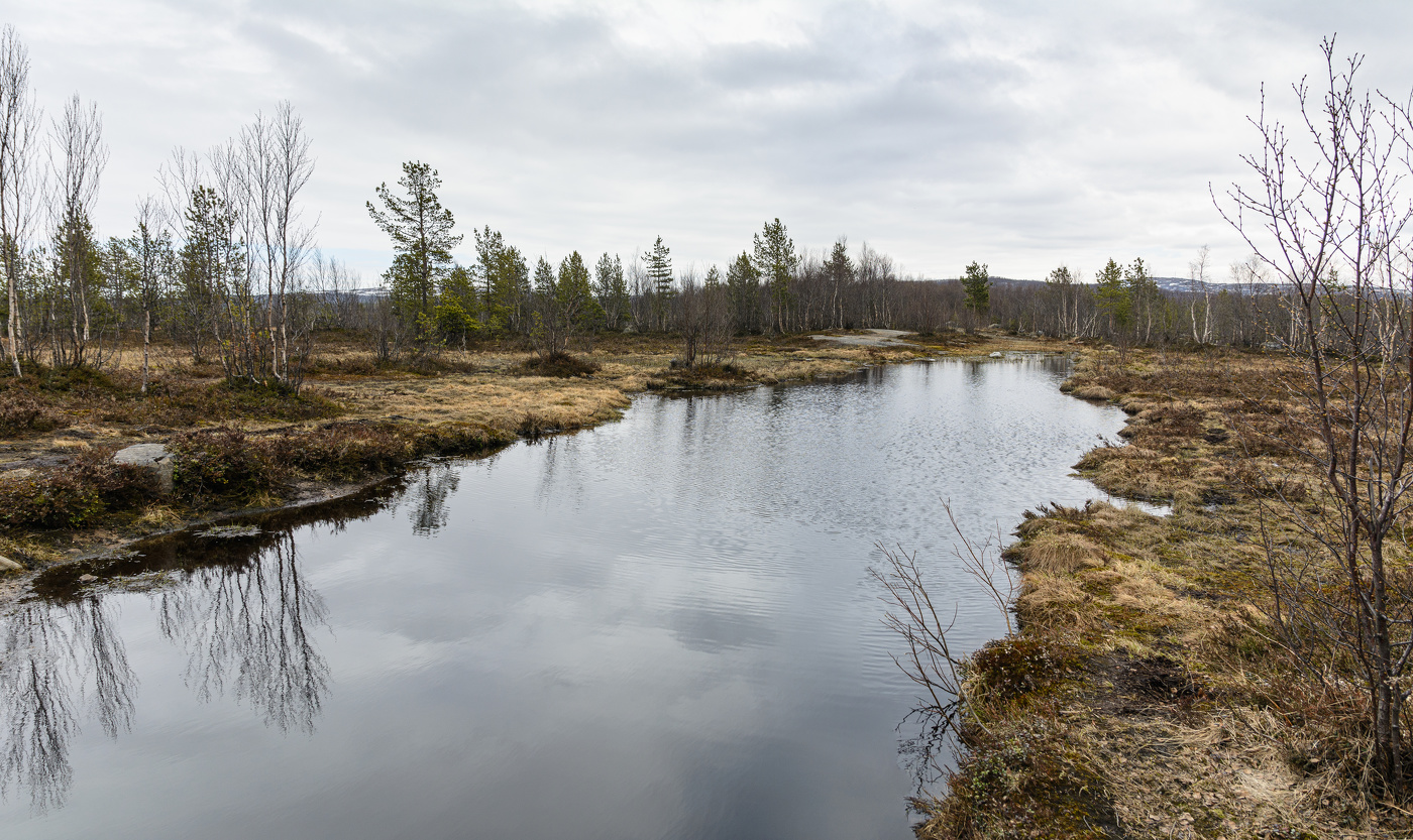 пасмурный май