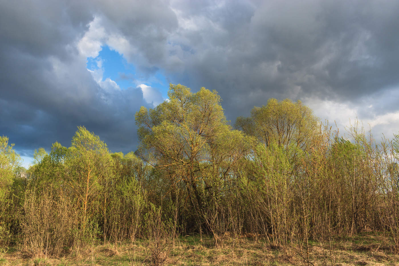 Апрель. Небесные контрасты.