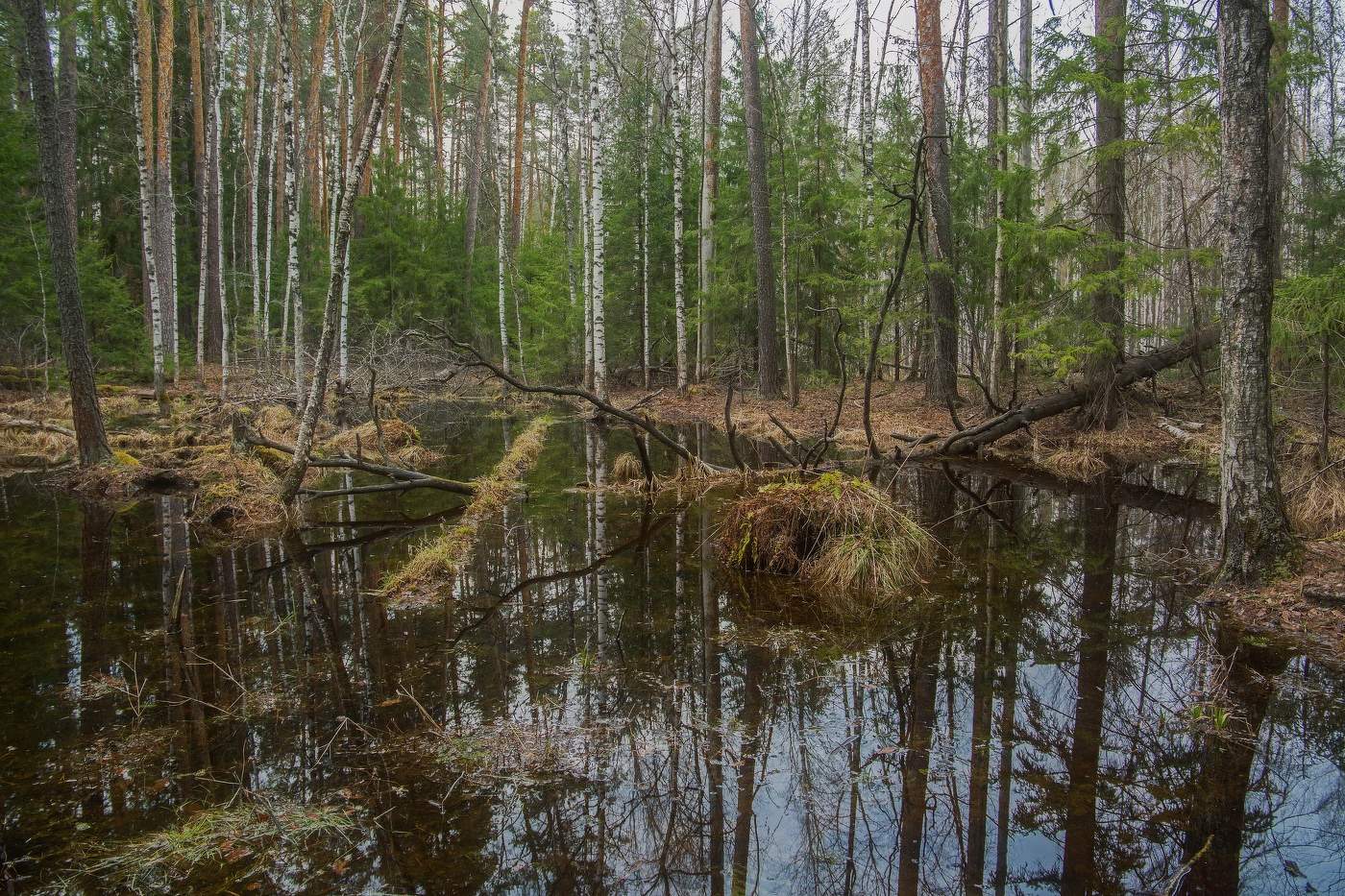 Раифский заповедник