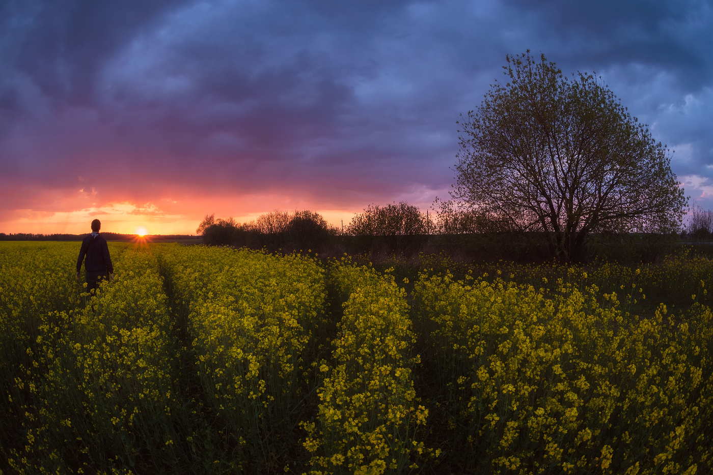 Провожая закат