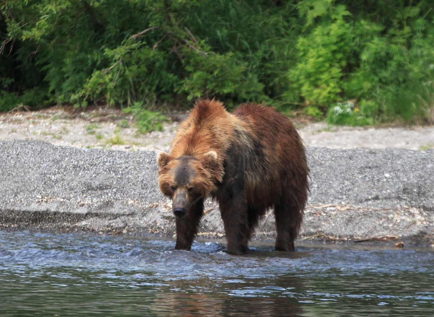 Рыбная ловля на Курильском озере