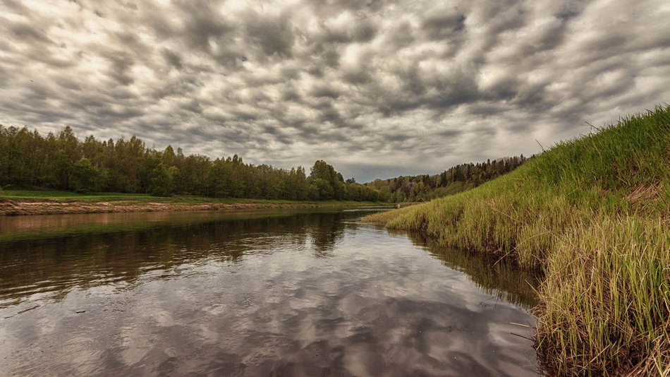 Жизнь вокруг