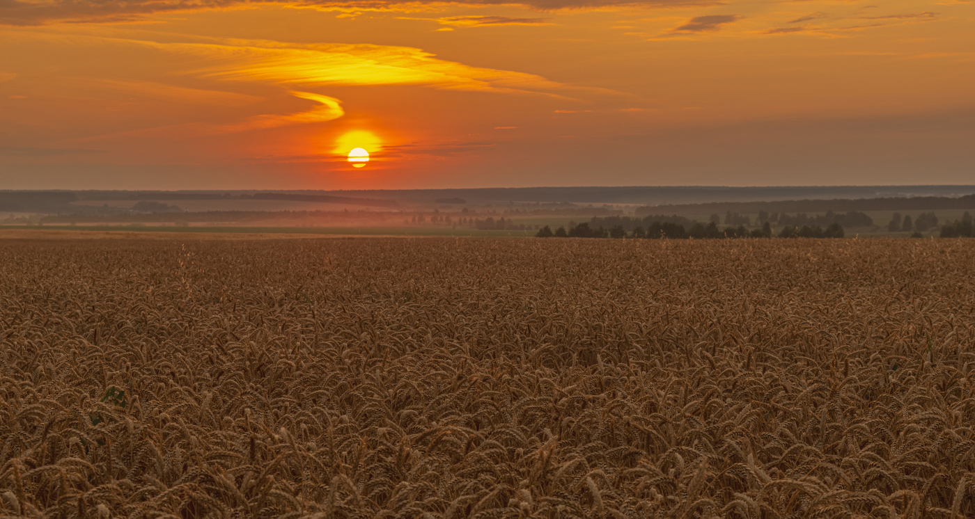 перед уборочной