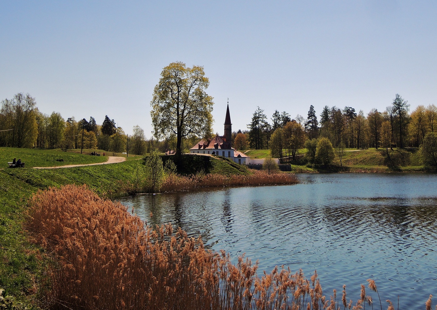 прогулка в Весну