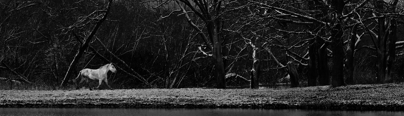 Нестандартный Петергоф - 33