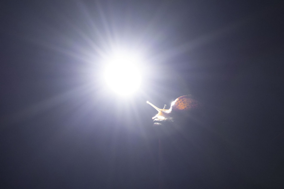 Жизнь вокруг