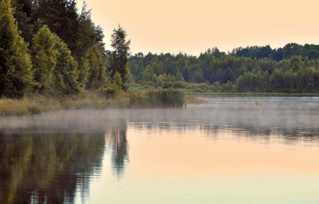 Туман по озеру ползёт
