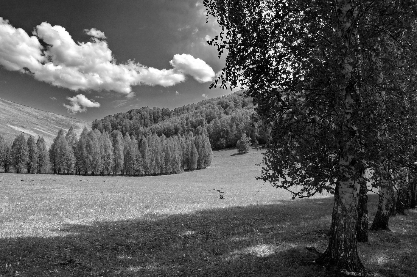 *Начало лета.**