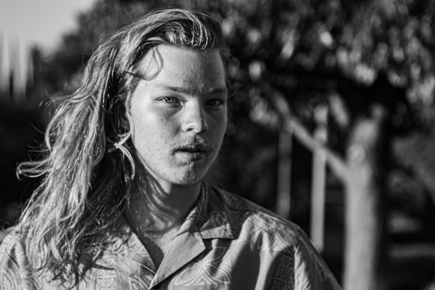 Сибирский гость