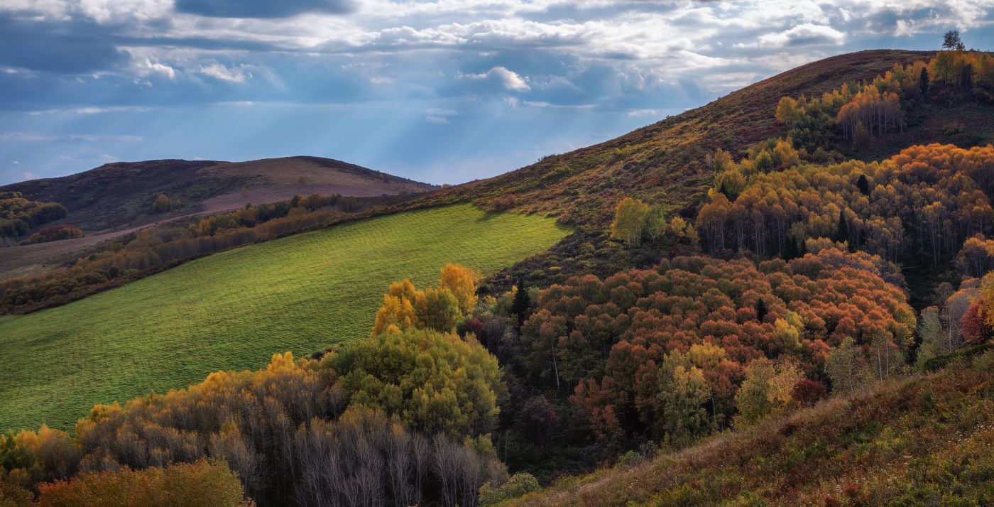 Осенний этюд