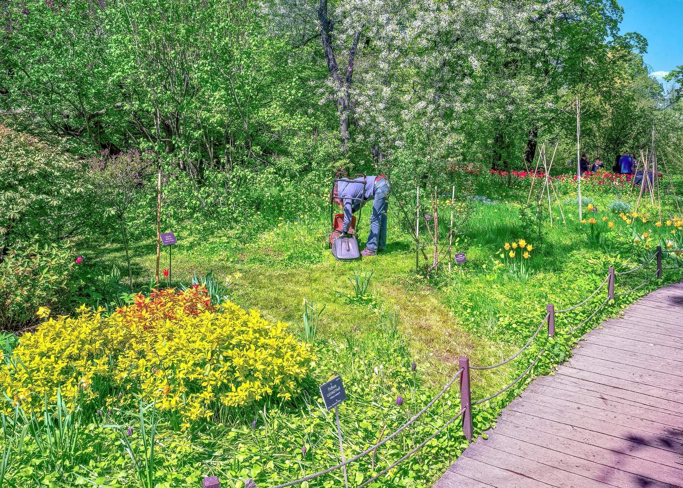 В Аптекарском огороде
