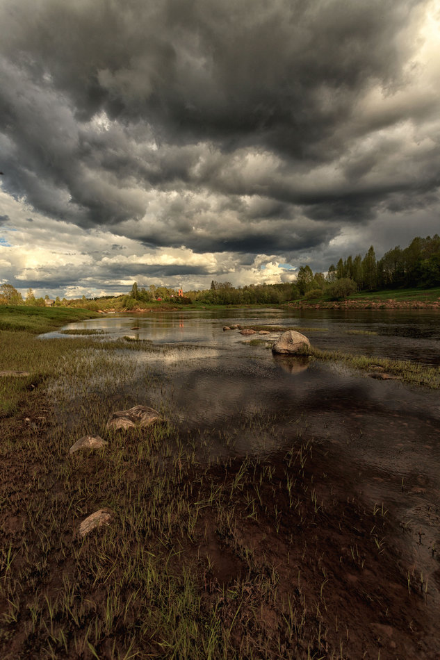 Жизнь вокруг